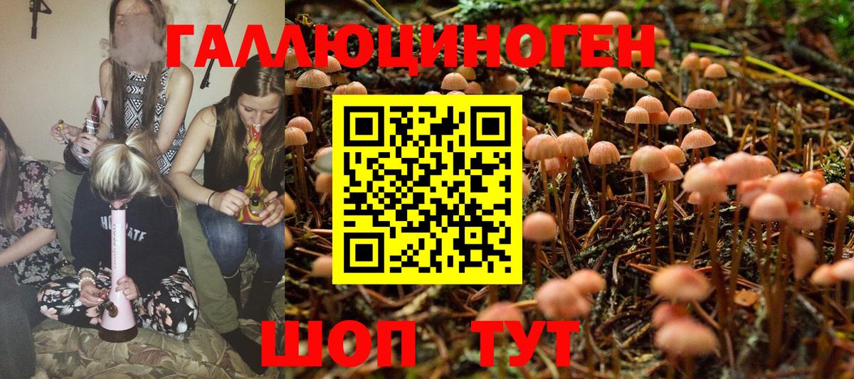 Псилоцибиновые грибы Psilocybine cubensis  Вход с VPN  Шахты 