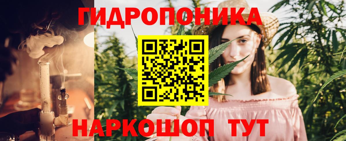 Конопля SATIVA & INDICA  Вход с VPN  Шишки марихуана семена  Конопля планчик  Шахты 